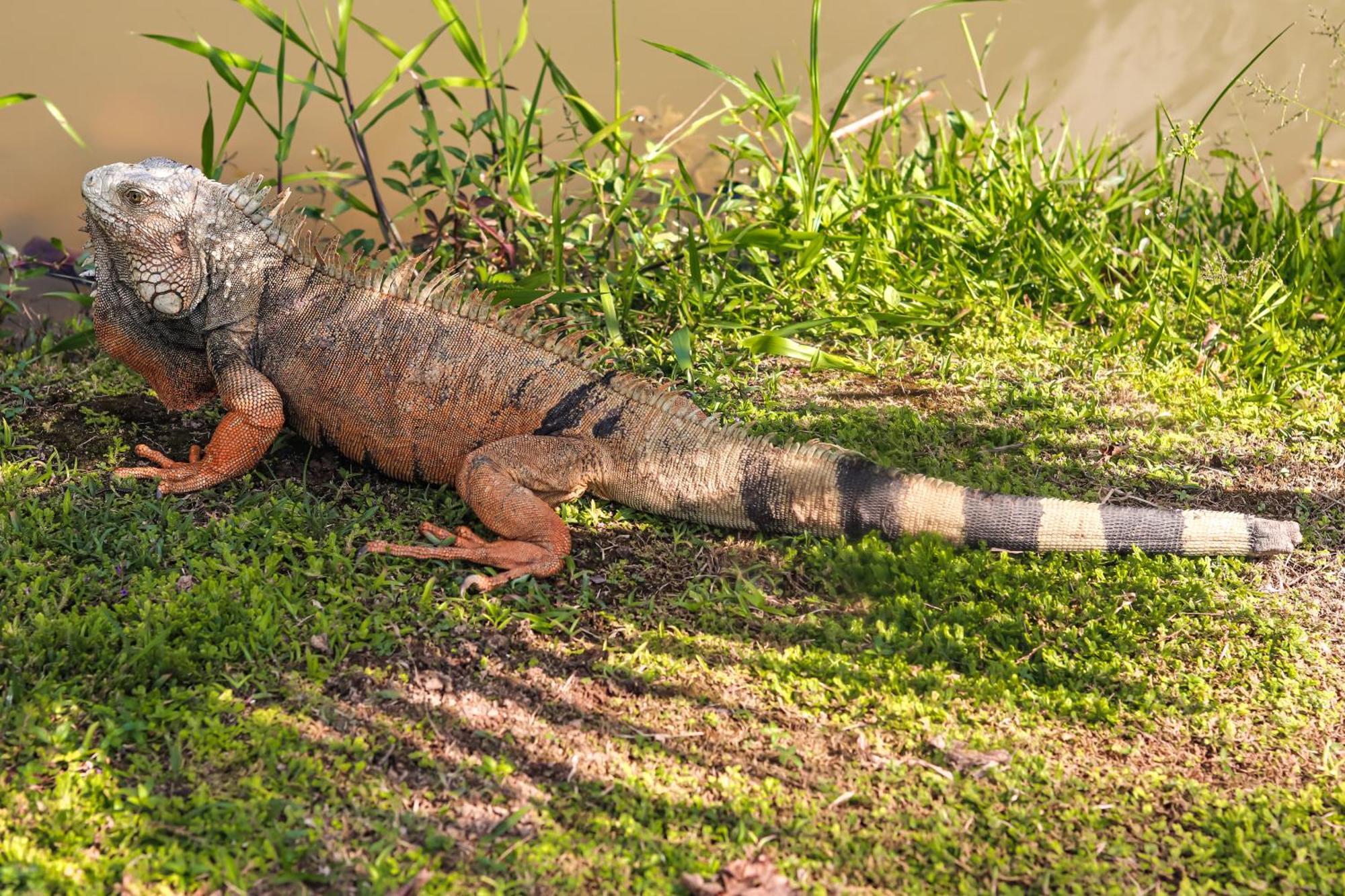 Los Colores Ecoparque Doradal 외부 사진